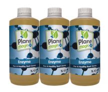 Enzyme-Prevents-Root-Rot-Plant-Magic